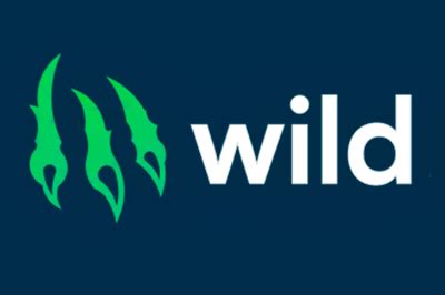 Казино wild на деньги